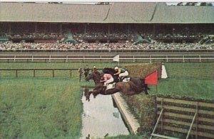 The Steeplechase Has Always Been A Popular Feature Of Saratoga Racing Saratog...