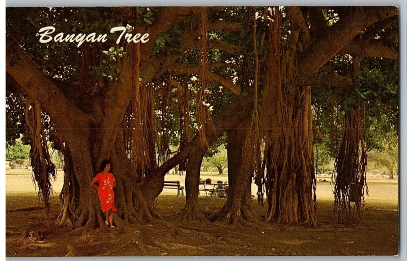 Woman Stands Under Large Banyan Tree Aerial Root System Lahaina Hawaii Postcard