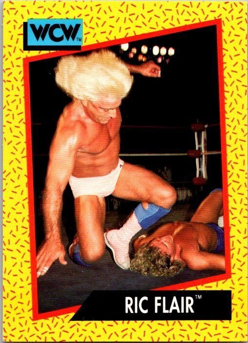 1991 WCW Wrestling Card Ric Flair sk21158