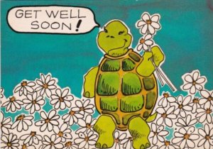 Turtles Get Well Soon