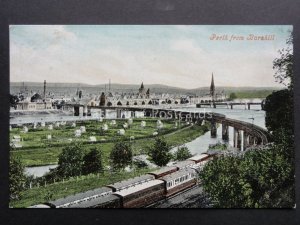 Scotland PERTH from Barshill showing ALLOTMENT VEGETABLE GARDENS c1919 Postcard