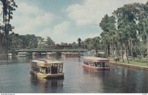 SILVER SPRINGS, Florida, 1900-10s; Glass bottom boats