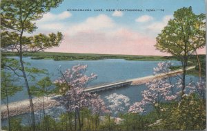 Postcard Chickamauga Lake Near Chattanooga TN