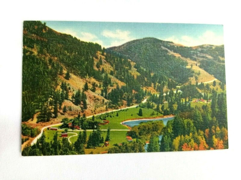 Vintage Postcard Red River Pass from Buffalo Trail Red River NM