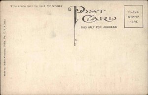 Jamestown NY New York National Chautauqua County Bank c1910 Postcard