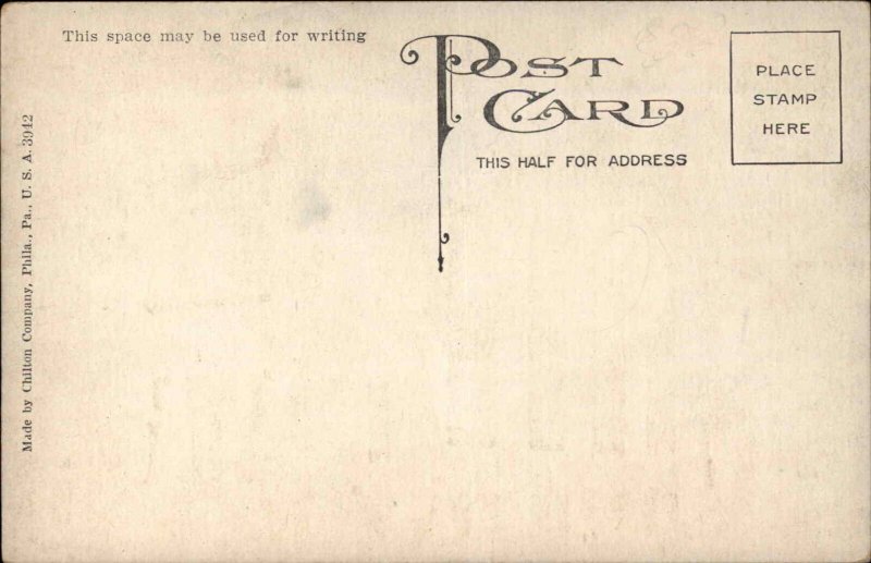 Jamestown NY New York National Chautauqua County Bank c1910 Postcard