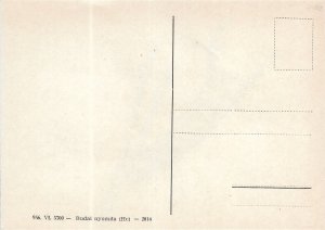 Mint Picture Post Cards Made from Cut-Up Stamps (65377)