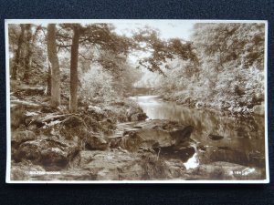 Yorkshire Bradford BOLTON WOODS c1930s RP Postcard by Walter Scott