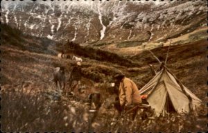 Canadian Rockies Indian Trail Camp Between BC  Yukon c1950-60s Vintage Postcard