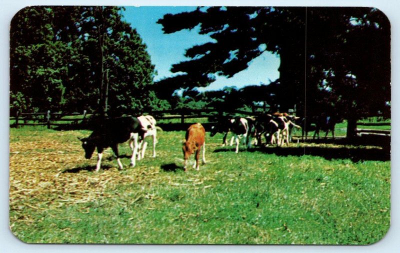 Farmingdale, NY Farms & Ranches for Sale