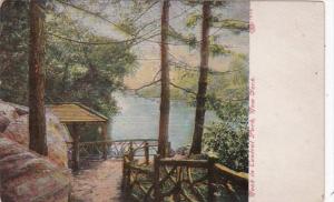 New York City Nook In Central Park 1908