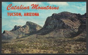 Arizona, Tucson - Catalina Mountains - [AZ-241]