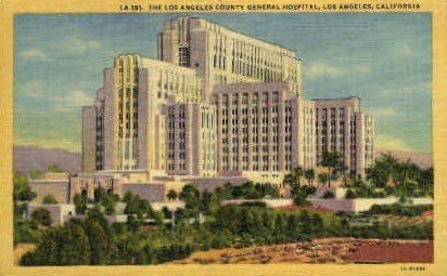 LA County General Hospital - Los Angeles, California CA  