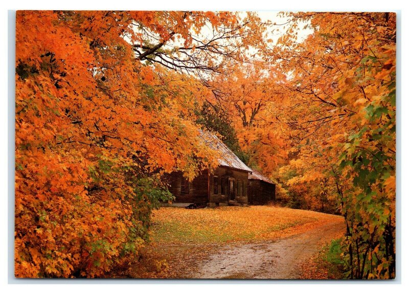 Postcard Autumn Colors Frame the Old Homestead New England NES35 K3