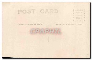 Old Postcard Cats Cat Kitten