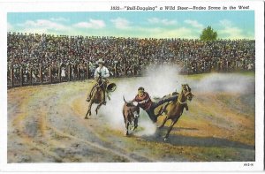 Cowboys in Rodeo Bull-Dogging a Wild Steer in the West