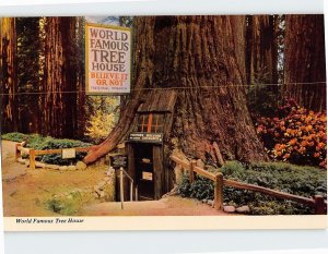 Postcard World Famous Tree House Tree House Park Piercy California USA