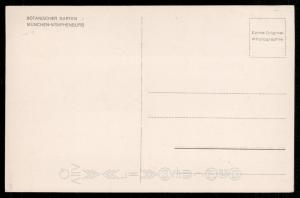 Botanischer Garten - Muenchen-Nymphenburg