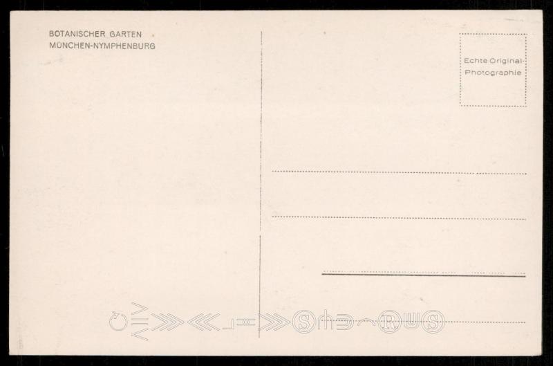 Botanischer Garten - Muenchen-Nymphenburg