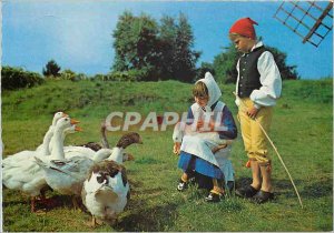 Postcard Modern Children Skane Sweden Moulin Geese