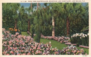 Postcard 1920s Path Thru Easter Glade Mountain Lake Sanctuary Lake Wales Florida