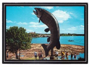 Huskie The Muskie, Log Boom, McLeod Park, Kenora Ontario Canada Chrome Postcard