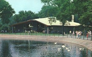 USA Holden Museum Of Living Reptiles Royal Oak Michigan Chrome Postcard 04.03