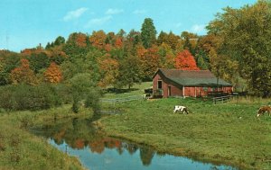 Postcard Farm Lands In Early Autumns New England Forwards Color Production Pub.