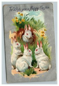 Vintage 1911 Tuck's Easter Postcard Silver Face Cute White Bunnies