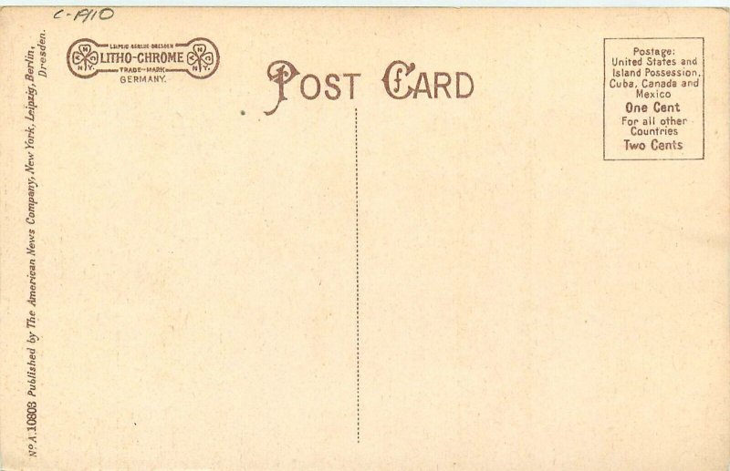 C-1910 Richfield Springs New York Canadarago Lake Grounds Postcard 24-11369