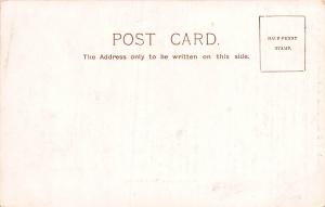 Pope's Villa, Twickenham, London, England, Early Postcard, Unused