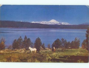 Pre-1980 LAKE SCENE Viola & Mineral - Near Red Bluff & Redding CA AE3433
