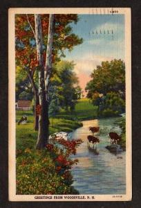 NH Greeting from WOODSVILLE NEW HAMPSHIRE Postcard Cows