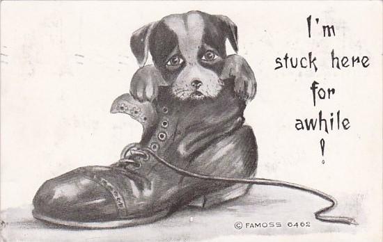 Humour Dog In Shoe I'm Stuck Here For Awhile 1910 Moss