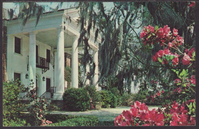 Boone Hall Plantation,Near Charleston,SC Postcard BIN