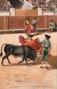 Corrida Bull Fight Capro A La Alimon