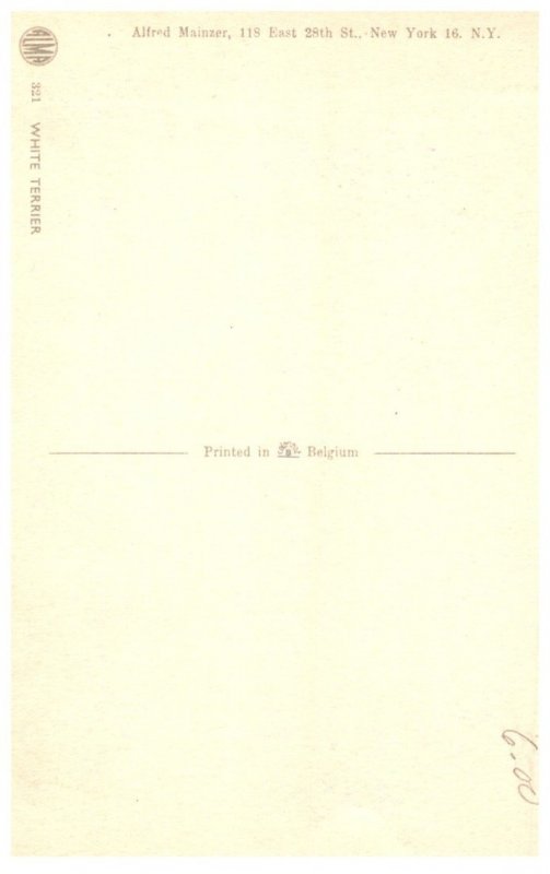 Dog  , White Terrier  , Alfred mainzer