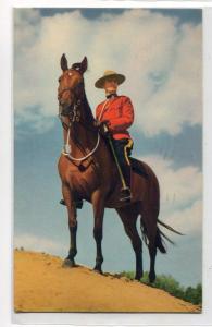 Canadian Mountie Horse RCMP Police Canada 1946 postcard