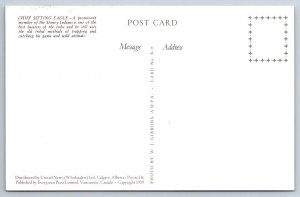 Chief Sitting Eagle, Stoney Indians, Canada, Vintage Chrome Postcard