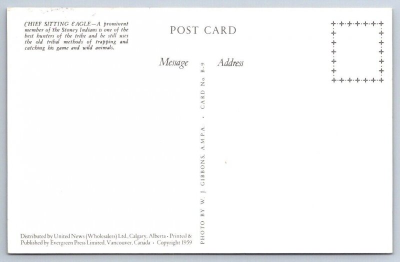 Chief Sitting Eagle, Stoney Indians, Canada, Vintage Chrome Postcard