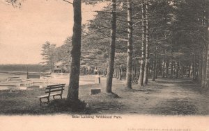 Boat Landing Wildwood Park Tall Trees Benches George E. Shaw Vintage Postcard