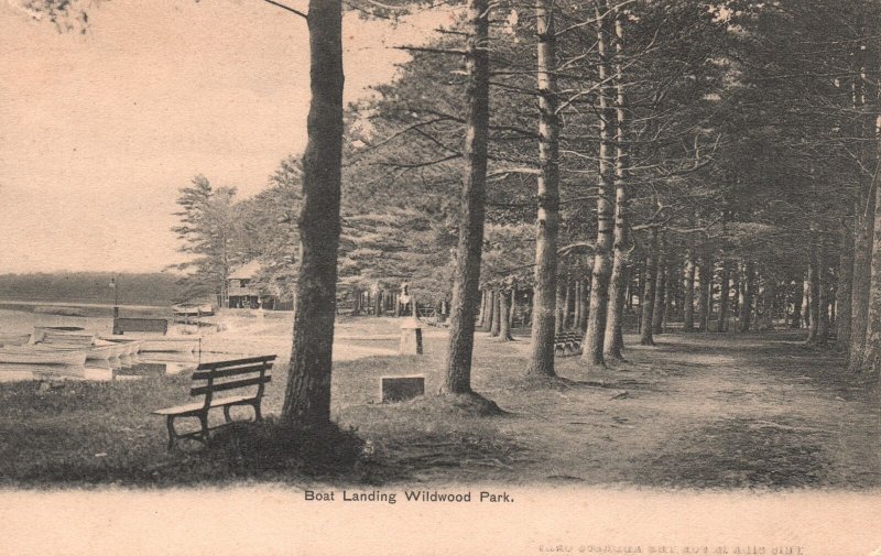 Boat Landing Wildwood Park Tall Trees Benches George E. Shaw Vintage Postcard