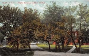 Ames Iowa~Iowa State Campus Scenery~Lots of Trees Shading Path~1909 Postcard