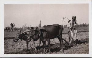 Indonesia Farmer Plowing With Ox Java Vintage RPPC C080