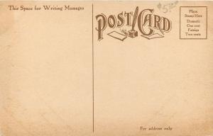 Grand Rapids Michigan~Ryerson Public Library~Men on Steps~1908 Postcard