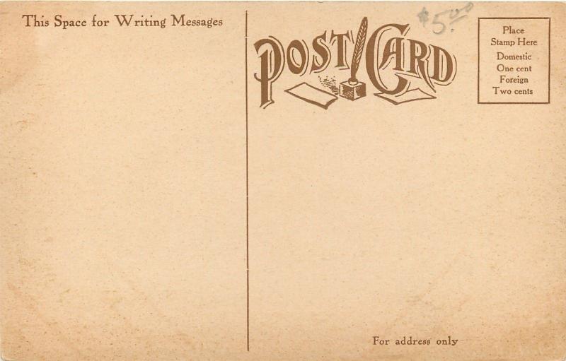 Grand Rapids Michigan~Ryerson Public Library~Men on Steps~1908 Postcard