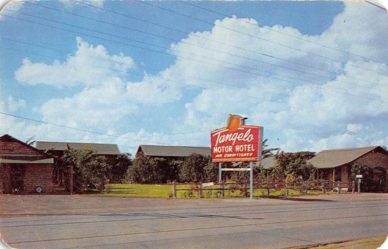 Harlingen Texas Tangelo Motor Court Street View Vintage Postcard K25621