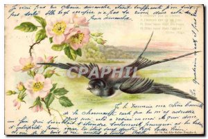Old Postcard Bird Flowers
