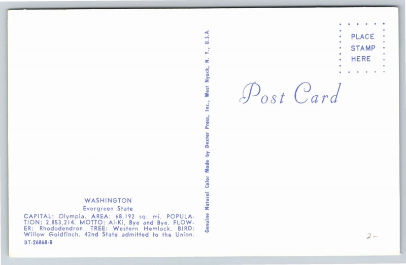 State Maps~Greetings From Washington~Rhododendron Flower~Brewster~Vintage PC
