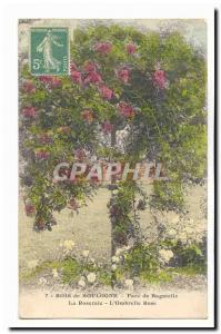 Bois de Boulogne Old Postcard Bagatelle The Rose Garden The Rose & # 39ombrelle